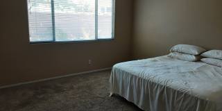 507 Short Crest Court Gallery 2