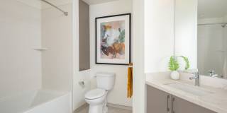 The Merian Gallery 96