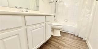 1008 Falconhead Lane Gallery 16