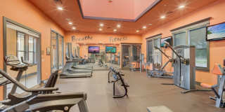 Las Brisas Gallery 17