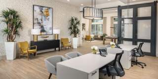 Prose Horizon Village Gallery 19