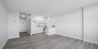 York North Gallery 6