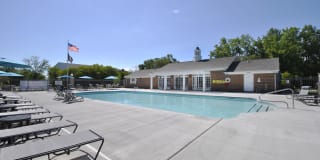 The Maxwell Gallery 12