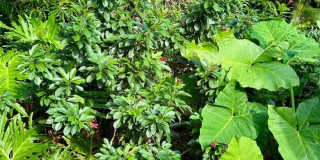 3012 GRAND VIEW AVENUE Gallery 39