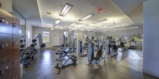 Solle Davie Luxury Apartments Gallery 15