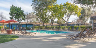 Reserve at Mountain View Gallery 16