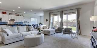 22533 N 93rd Drive Gallery 8