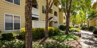 The Presidio Apartments Gallery 28