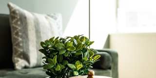 Abendroth Gallery 51