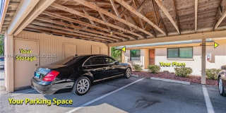 1519 CAPE CORAL PKY W Gallery 7