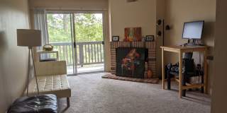 7130 Shoreline Drive 7130 Shoreline Drive Gallery 1