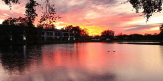 Fountain Lake Bradenton Gallery 27