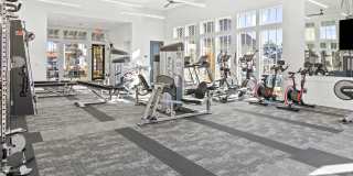 LEO at Flint Crossing Gallery 15