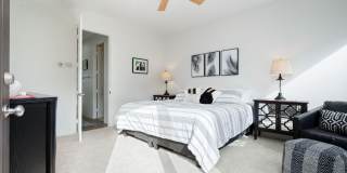 79215 Mandarina Gallery 39