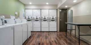 Detroit - Rochester Hills Gallery 19