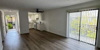Maple Apartments Gallery 5