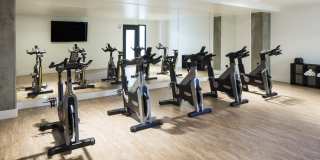 The Fifty Five Fifty Gallery 11