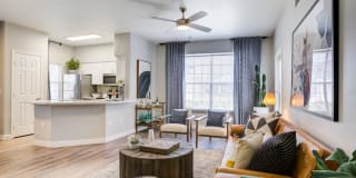 Avana Coronado Gallery 2