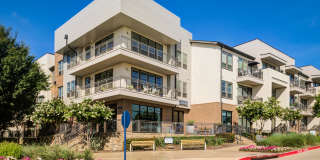 301 Flower Mound 301 Flower Mound Gallery 4