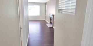 Beautiful 4 Bedroom Windemere Home on Corner Lot Gallery 33