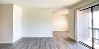 Spacious 2 Bedroom with Private Balcony! Gallery 45