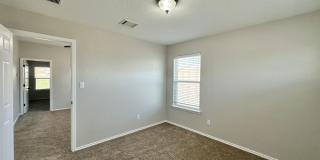 Viewable Now!  Small Dogs Accepted! Gallery 35