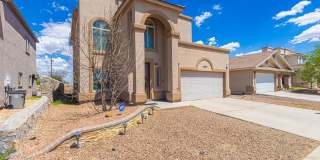 3240 PERUVIAN PASO Drive Gallery 37