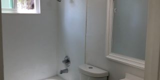 Holly Gallery 7