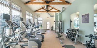 Olympus Waterford Gallery 13