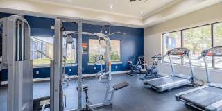 Bella Vista Gallery 6