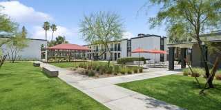 ReNew Biltmore Gallery 38