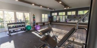 College Woods Gallery 55