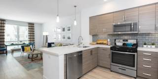 The Triton Gallery 1