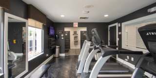 Deer Hill Gallery 65