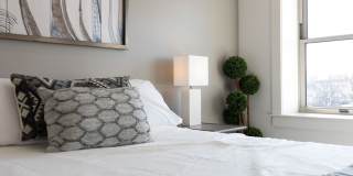 Netherland Gallery 3