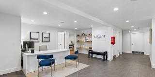 The Lucent Gallery 13
