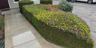 17531 San Jose Gallery 18