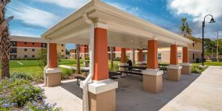 Regency Palms Apartments - Affordable Housing Gallery 4