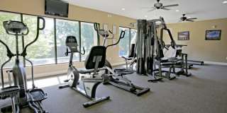 bg0416 Gallery 7