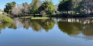 664 SW 35th Street Apt 6 Gallery 22