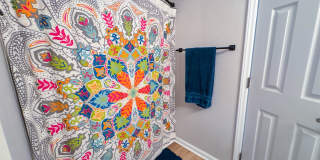 Coming Soon! 3 Bedroom 2 Bathroom-Dogs okay! Gallery 13