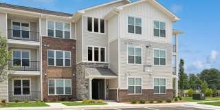 Ascend at Carlton Gallery 49