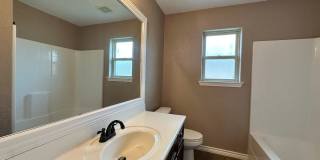 Viewable Now!  1 Dog Limit! Gallery 37