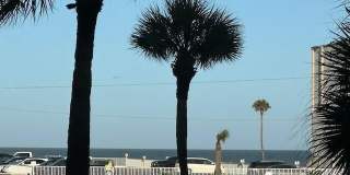 2727 N Atlantic Avenue unit: 211 Gallery 8