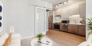 Reynard Gallery 19