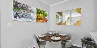 Finley at Fairfax Corner Gallery 40