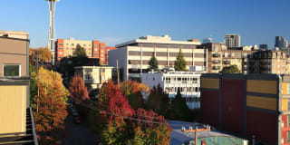 Ava Queen Anne Gallery 30