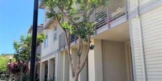 Beautiful 3 bedroom, 3 bath Condo in prime San Jose Location Gallery 1
