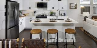 Sierra Vista Gallery 25