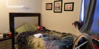 Nice 4 bed in Brookline Gallery 7
